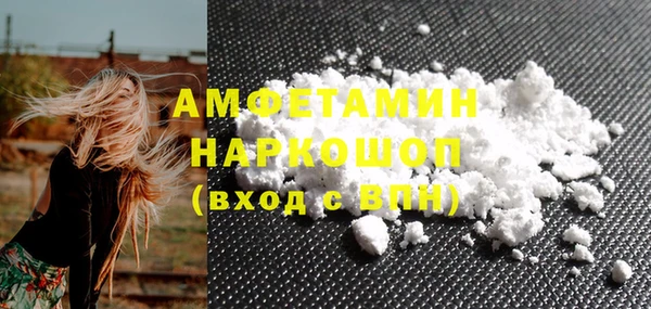 ECSTASY Бородино