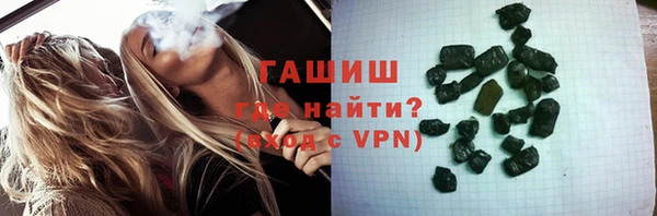 ECSTASY Бородино
