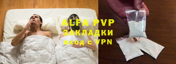 ECSTASY Бородино