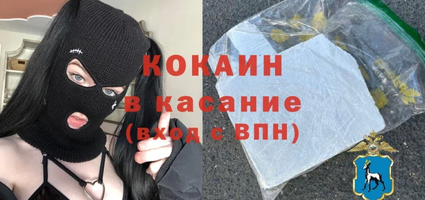 ECSTASY Бородино
