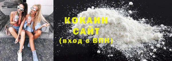 ECSTASY Бородино