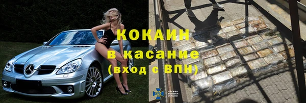 ECSTASY Бородино