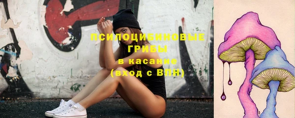 ECSTASY Бородино