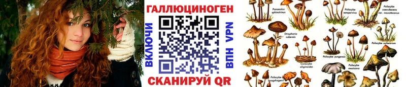 Галлюциногенные грибы Psilocybine cubensis  Люберцы 